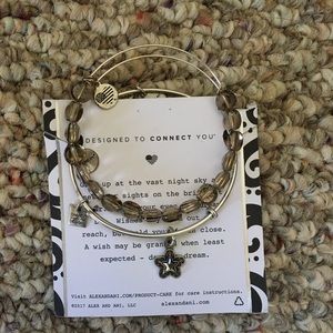 ALEX AND ANI set of 2 bracelets